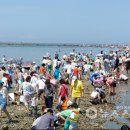 무창포해수욕장 이미지