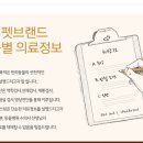 포레스트캣 이미지