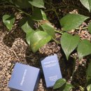 마린블루 | 딥퍼센트 블루워터 마린 베리어 세럼 &amp; 크림 세트 솔직 사용 후기