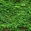 협동상회협동조합 이미지