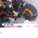 완월동119 이미지