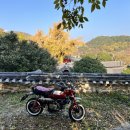 향교옆길 이미지