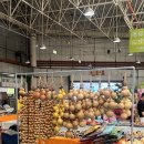 장미관문 | 윈난성 여행의 시작! 쿤밍 1박 2일 코스 (뎬츠·꽃시장) &amp; 어투어 라이트 호텔 솔직 후기