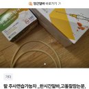 당근에 올라온 마루타 알바 이미지