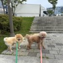 눈보뛰 프리미엄 이미지