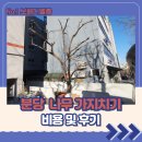 나무 | 분당 나무 가지치기 비용 및 후기