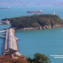 오동도