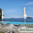 씨 스테이 앤 네이버블로그