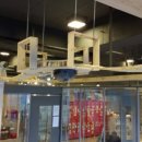 고양이카페38.5 이미지