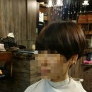 하당카클리닉 이미지