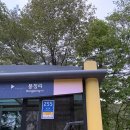 스테이봉정 | [정선 감성 숙소 '스테이 봉정'/260430~260501]강원도 정선 숙소 추천! 스테이 봉정 내돈내산 დ