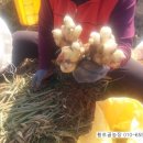 황토골농장 이미지