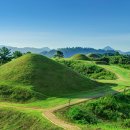 대상여행사㈜ 이미지