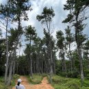 이기대큰고개약수터 이미지