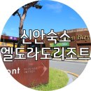 10월13(일)~15/병풍도 맨드라미&퍼플섬 아스타꽃+@12사도길 일부[엘도라도2박/28인승] 이미지