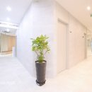 과천플러스약국 이미지