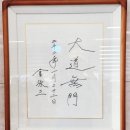 용화횟집 | 거제 횟집 맛집 용화 횟집 후기