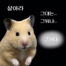귀찬 이미지