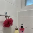 강촌커플가족세이셀펜션 이미지