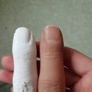 신세계 의수족 연구소 이미지