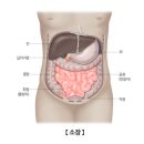정원로 | 글리벡 필름 코팅정 100mg _ 만성골수성백혈병과 위장관 기질 종양 치료