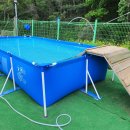 퍼피스쿨 이미지