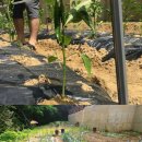 연준농장 이미지