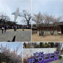 자전거대여소(화성행궁) | 수원 화성행궁 &amp; 행리단길 봄 나들이 후기 : 아이와 함께 주말에 뭐하지? 전통놀이와 이색 골목 탐방까지