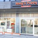 대구강아지분양 퍼피얌 이미지