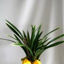 대훈유통 이미지