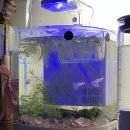 아쿠아가든카페 양재점 이미지