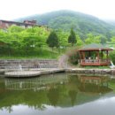 단양한우 목장 이미지