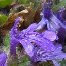 금창초교 이미지