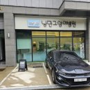 낭만고양이병원 이미지