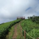 2026년 07월 02일(목) 제 604차 장수 장안산(1,237m) 이미지