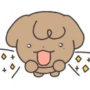 퐁신스튜디오
