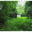 관정목장 이미지