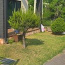 황소마을 이미지