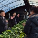 덕산농장2 이미지