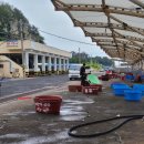 양포문어 이미지