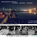 [8월 15~16일]회장배 제주대회 & SKILL 페스티벌 이미지