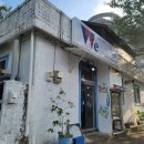 위미가 연 이미지