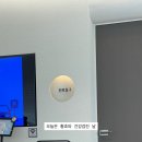 더휴건강 | 14살 노령견건강검진 더휴동물의료센터(후기)