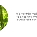 제이엘메디코스 이미지