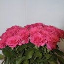 부부요양병원 이미지