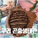 구리하수처리장 곤충생태관 | 구리 곤충생태관 예약 주차 입장료 구리타워 곤충박물관 체험