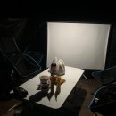 밀양유원지야영장 | 밀양 기회송림 야영장 캠핑 후기