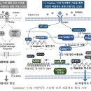 전남대학교 치의학전문대학원 이미지