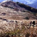 유성기업사 이미지