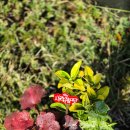 정위농장 이미지